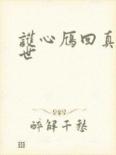 护心雁回真实身世