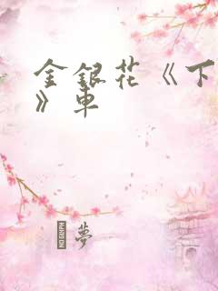 金银花《下厨房》车