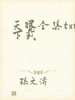 天眼全集txt下载