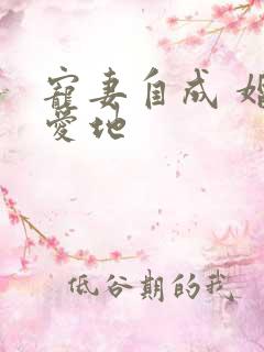 宠妻自成 婚天爱地