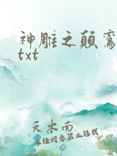 神雕之颠鸾倒凤txt