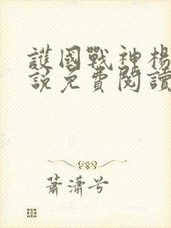 护国战神杨风小说免费阅读