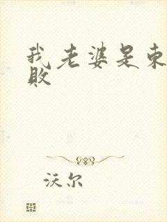 我老婆是东方不败