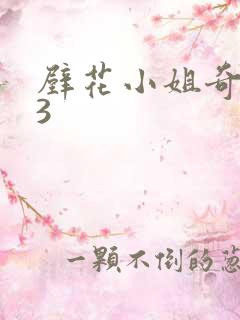 壁花小姐奇遇记3