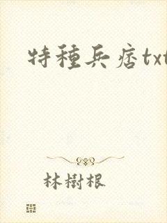 特种兵痞txt