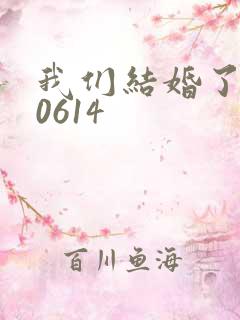 我们结婚了130614