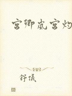 宫卿岚宫灼小说