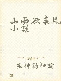 山雨欲来风满楼小说