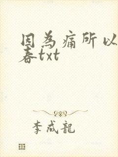 因为痛所以叫青春txt