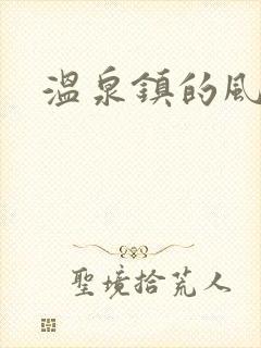 温泉镇的风流事