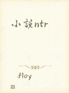 小说ntr