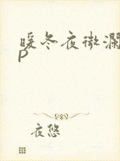 暖冬夜微澜VIP