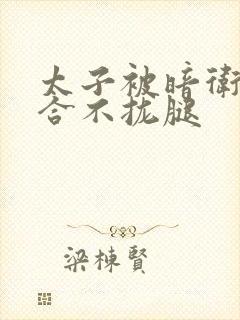 太子被暗卫c到合不拢腿