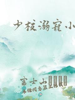 少校溺宠小小妻