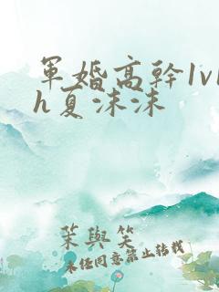 军婚高干1v1h夏沫沫