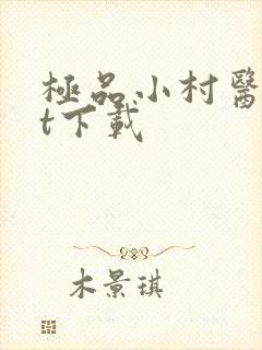 极品小村医txt下载