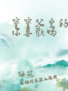 宝宝父皇的东西你喜欢吗