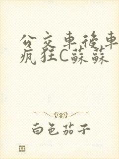 公交车后车座的疯狂C苏苏