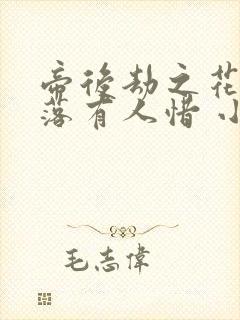帝后劫之花开花落有人惜 小说