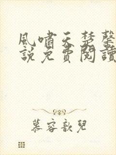 风啸天楚馨月小说免费阅读