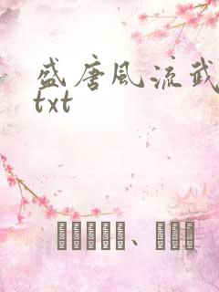 盛唐风流武状元txt