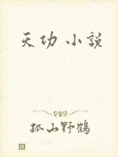 天功 小说