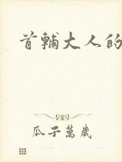 首辅大人的套路