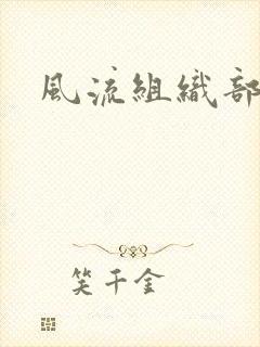 风流组织部长