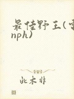 最佳野王(电竞nph)