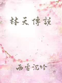林天传说
