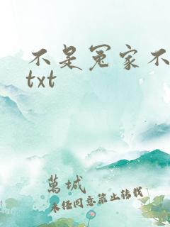 不是冤家不聚头txt