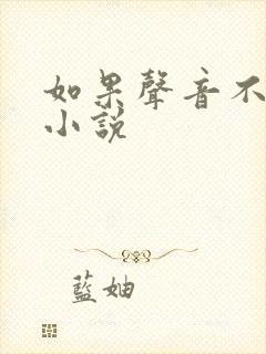 如果声音不记得小说