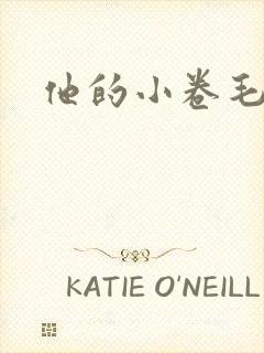 他的小卷毛