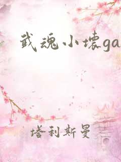 武魂小坏ga