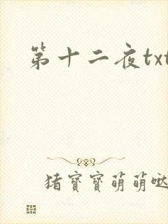 第十二夜txt