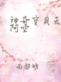 神奇宝贝天空之阿空