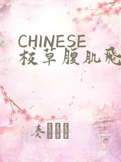 CHINESE校草腹肌飞机视频