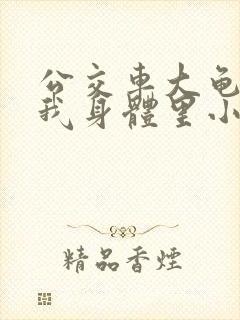 公交车大龟廷进我身体里小说内容