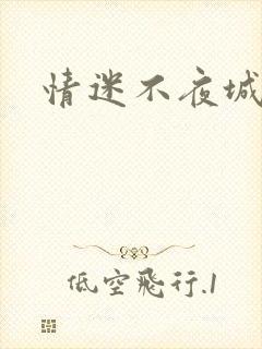 情迷不夜城