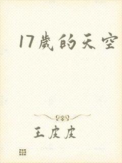 17岁的天空