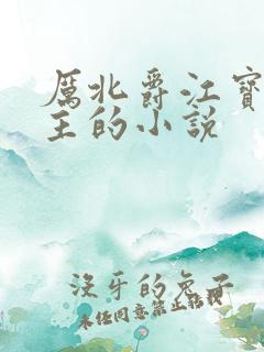 厉北爵江宝宝男主的小说