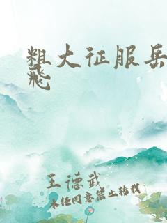 粗大征服岳女双飞