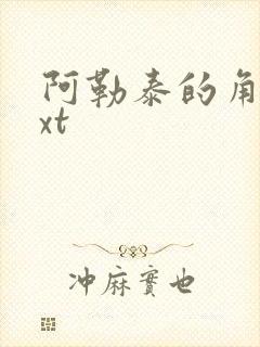 阿勒泰的角落txt