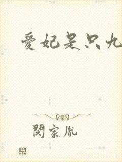 爱妃是只九尾猫