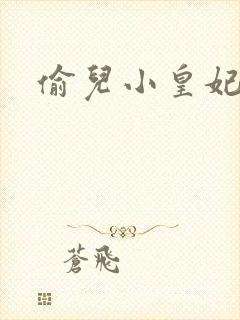 偷儿小皇妃