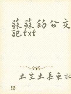 苏苏的公交车日记txt