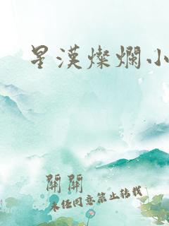 星汉灿烂小说