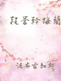 段誉干梅兰竹菊