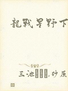 龙战星野下载