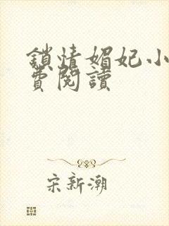 锁情媚妃小说免费阅读